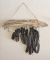 Feather Wall Hangings